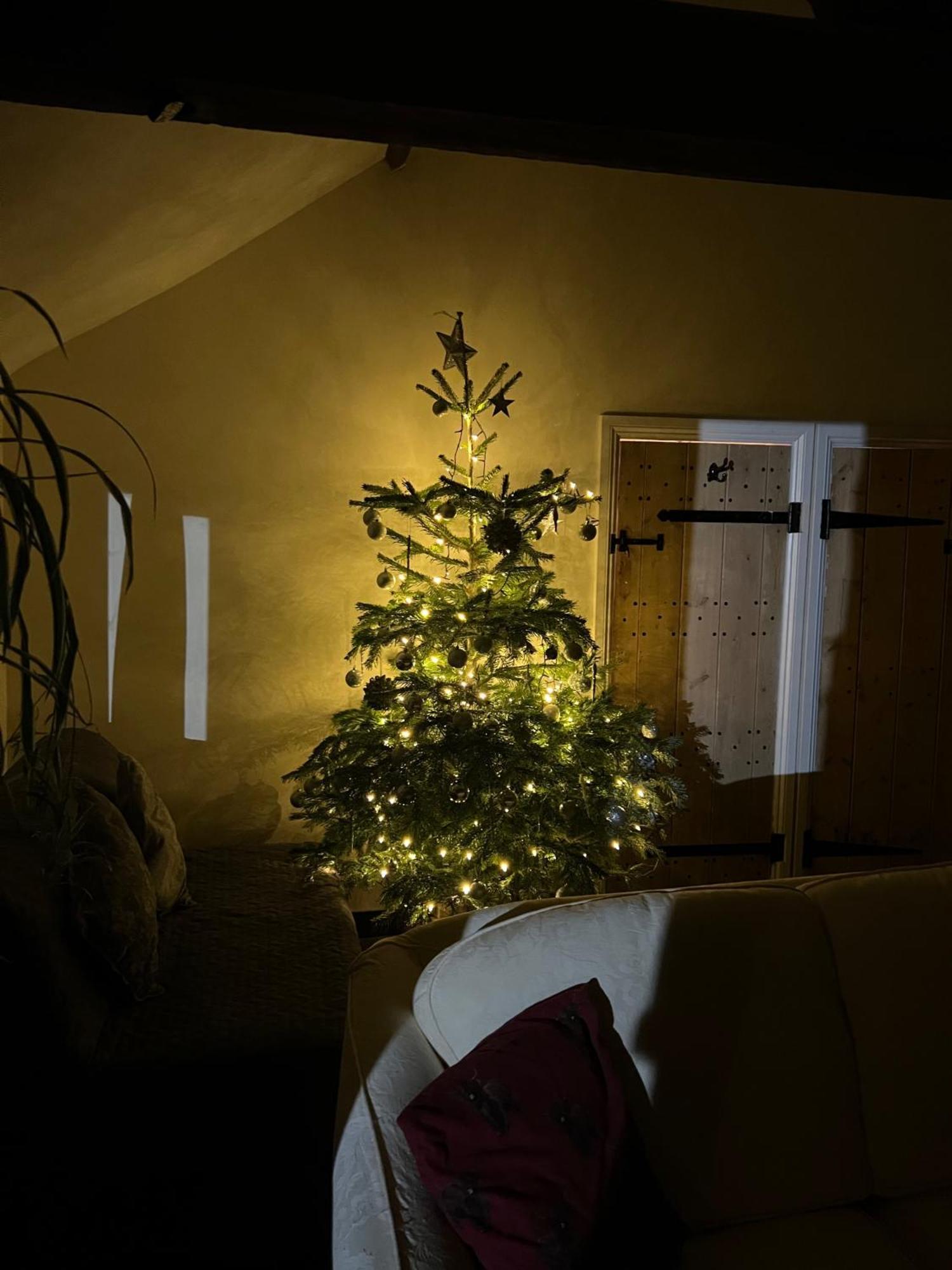 Westbury on Severn Beautiful 1-Bed House In Gloucestershire מראה חיצוני תמונה